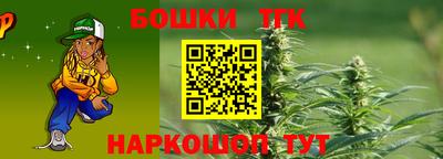 индика Новокубанск