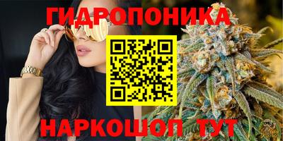 apvp Новодвинск