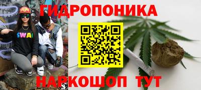 индика Новокубанск