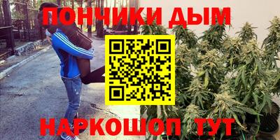 индика Новокубанск