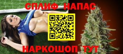индика Новокубанск