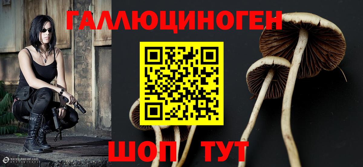 Псилоцибиновые грибы Psilocybe  Галлюциногенные грибы Psilocybine cubensis  Урус-Мартан  Вход с VPN 